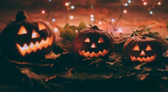 Halloween Artikel Bild